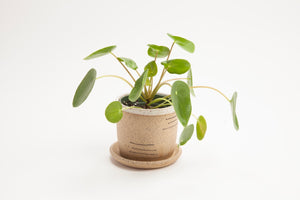 Small Planters
