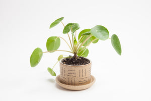 Small Planters