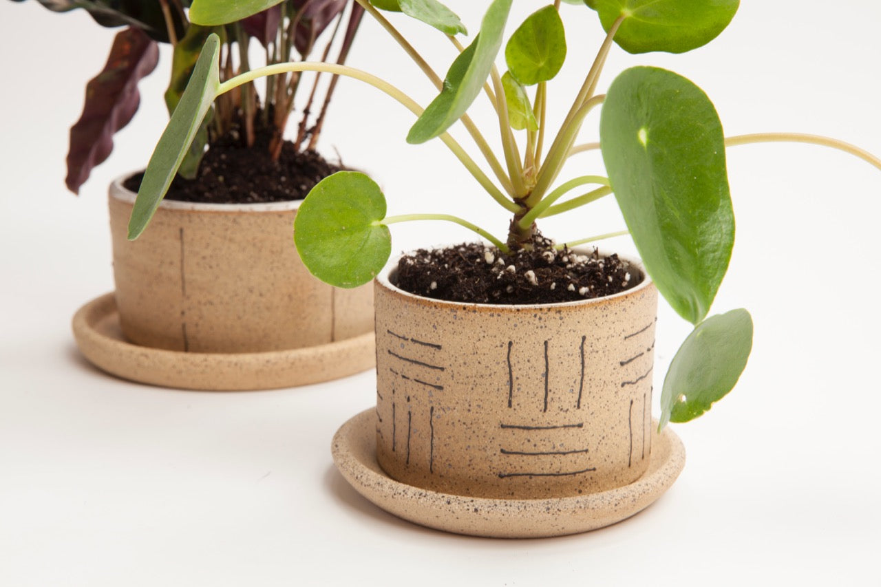 Small Planters