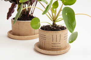 Small Planters