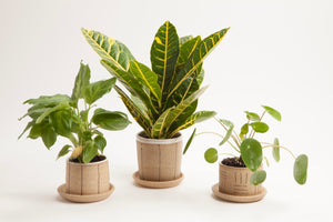 Small Planters