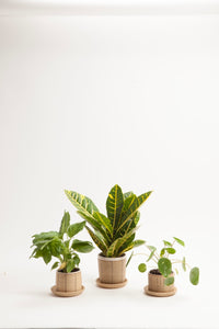 Small Planters