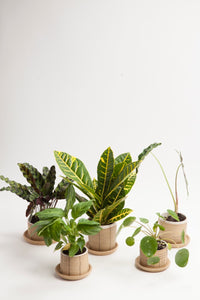 Small Planters