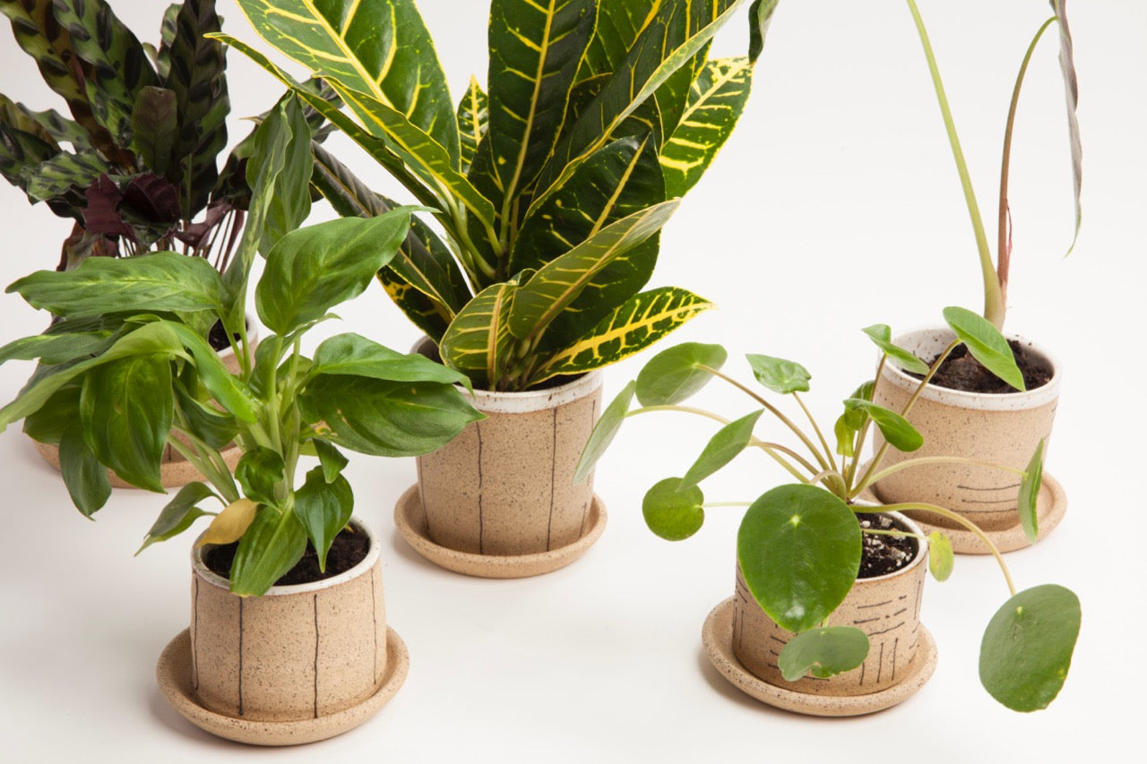 Small Planters
